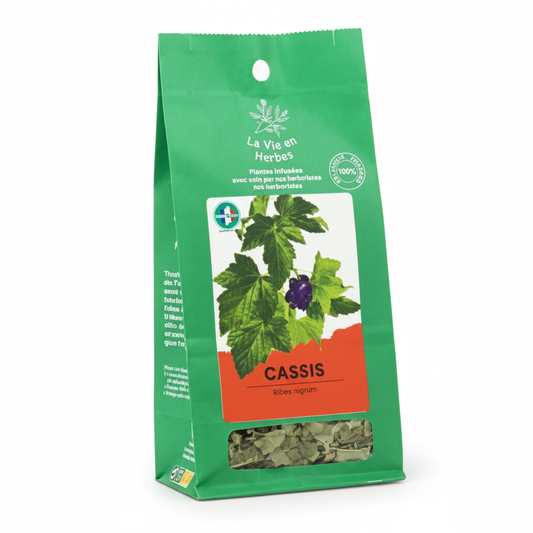 LA VIE EN HERBES -- Cassis feuilles